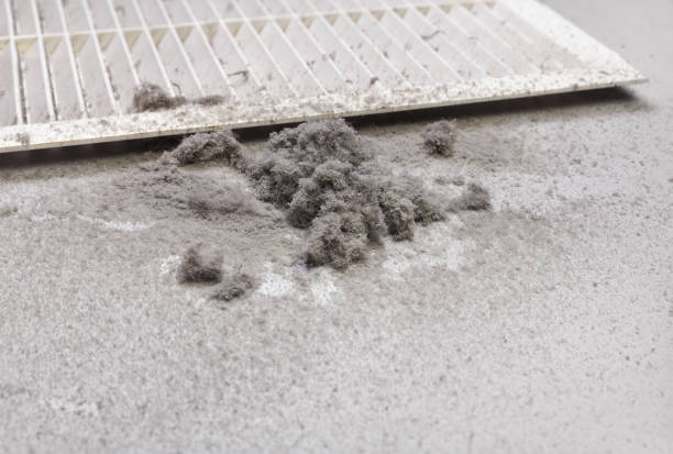 Best Air Vent Cleaning Services  in Springfield, MA