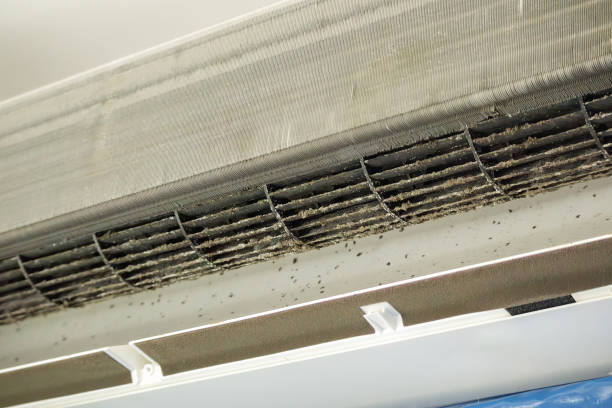 Best Ductwork Cleaning Services  in Springfield, MA